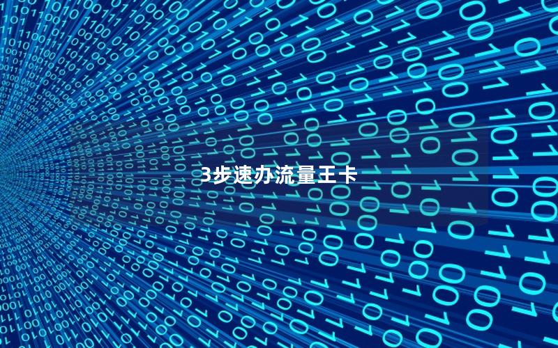 3步速办流量王卡