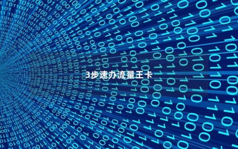 3步速办流量王卡