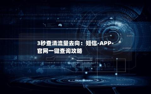 3秒查清流量去向：短信-APP-官网一键查询攻略