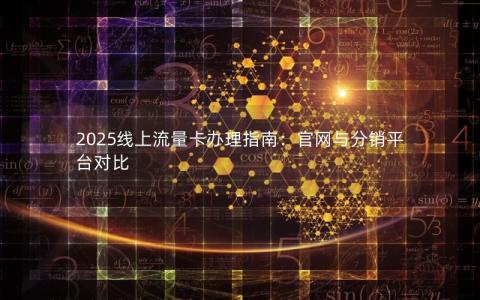 2025线上流量卡办理指南：官网与分销平台对比