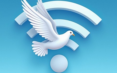 电信宽带提供几个IP地址全面解析